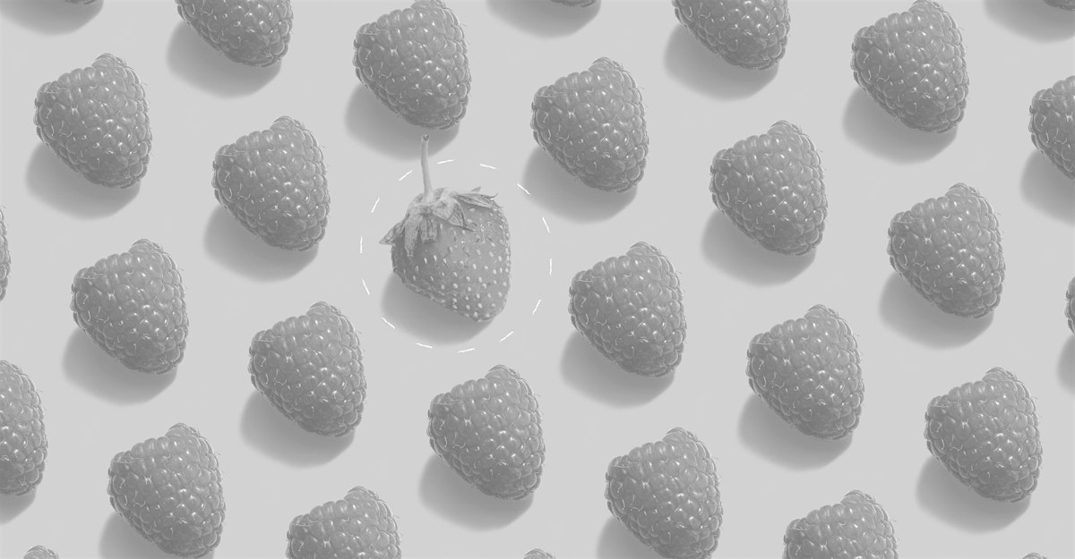 At kende sin målgruppe betyder, at du kan kende forskel på et jordbær fra en flok hindbær